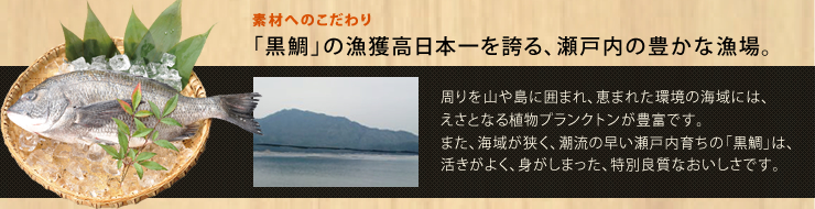 素材へのこだわり
「黒鯛」の漁獲高日本一を誇る、瀬戸内の豊かな漁場。
周りを山や島に囲まれ、恵まれた環境の海域には、
えさとなる植物プランクトンが豊富です。
また、海域が狭く、潮流の早い瀬戸内育ちの「黒鯛」は、
活きがよく、身がしまった、特別良質なおいしさです。
黒鯛〈クロダイ〉とは？
スズキ目タイ科の魚で別名「チヌ」と呼ばれる。姿形はマダイに近く、全体に黒や灰色に見える。広島湾を中心とした瀬戸内海に多く生息し、広島は全国一の漁獲量を誇る。